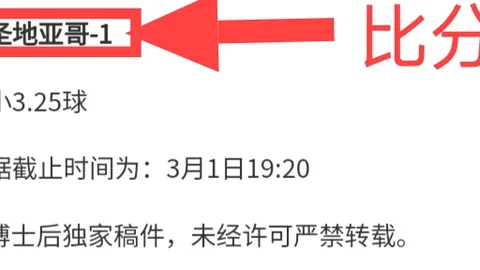 荷蘭狂勝比利時4-0，贝尔温雙響炮助隊大勝